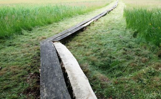 18_Ilgašilio pažintinis takas.Autorius Sartų ir Gražutės RP direkcija.jpg